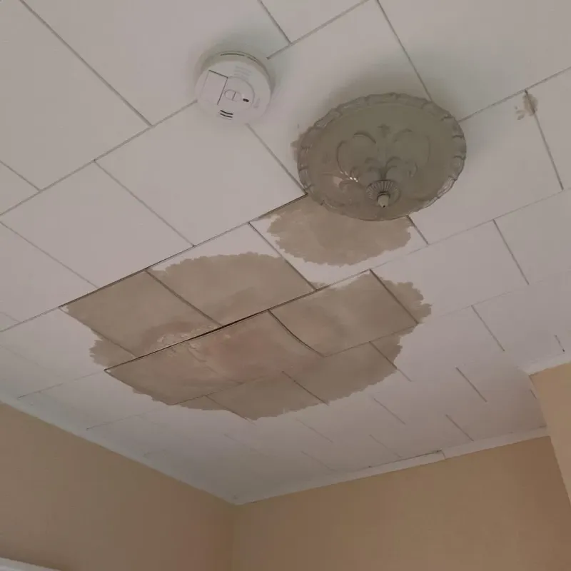 Ceiling Water Damage Repair in Whitesboro, AL