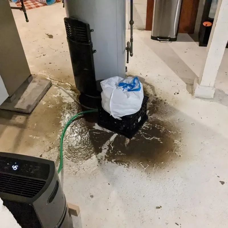 Sewage Backup Cleanup Service in Whitesboro, AL